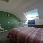 Fronte Mare 23 * Чивитанова-Марке